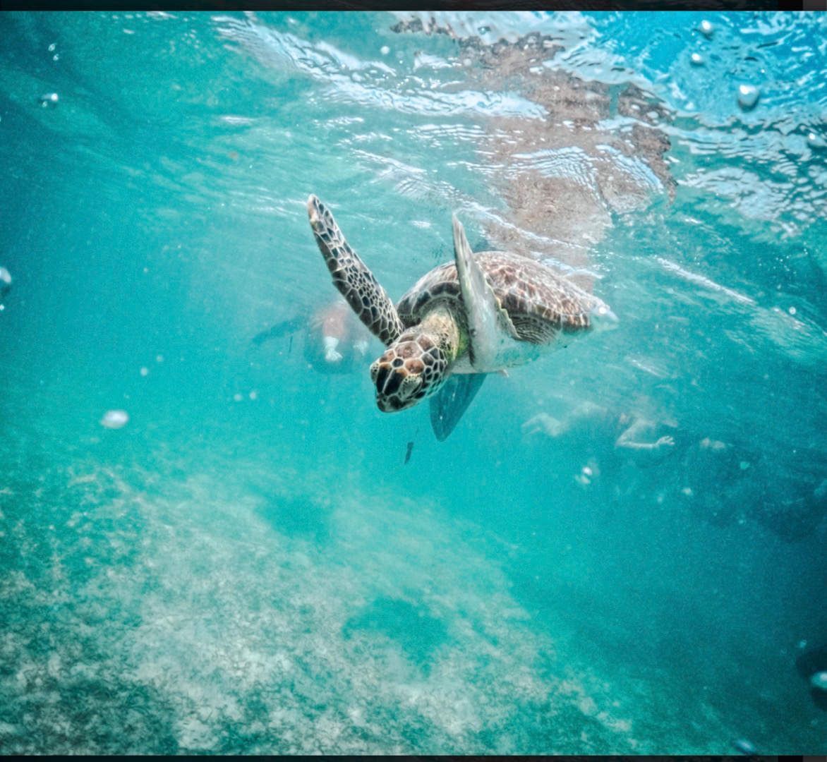 Cancun trip